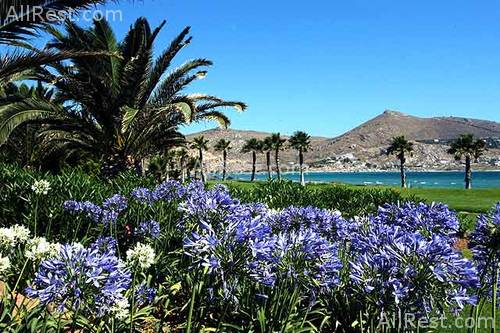 Astir of Paros 20